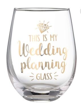 NIB Lillian Rose This is My Wedding Planning Glass, Stemless Wine Glass
